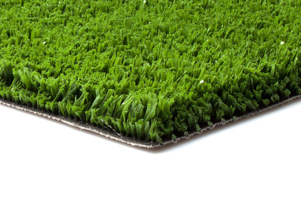 FIELD